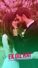 Ek Dil Ek Jaan Hain Status | Shivam Pathak | Mujtaba Aziz Naza | Kunal Pandit | Farhan S | DK Status