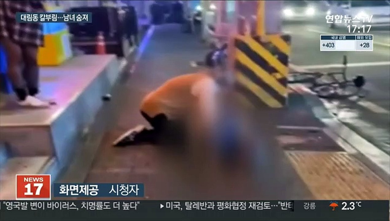 2명 숨진 서울 대림동 흉기 난동…가해자 검거