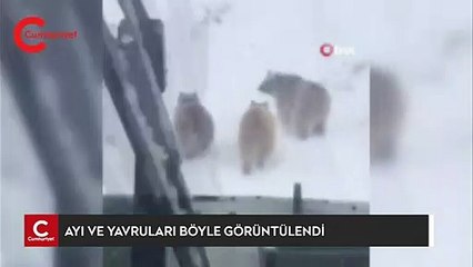 Çukurca'da görenleri şaşırtan görüntüler