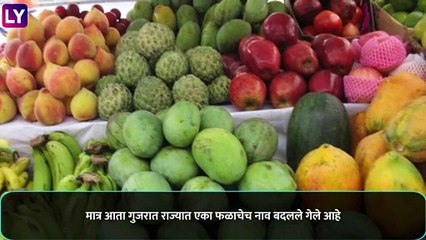 Vijay Rupani, Gujarat CM, On Dragon Fruit: गुजरात सरकारने ड्रॅगन फळाला दिले नवीन नाव