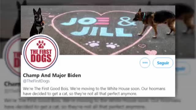 Las mascotas vuelven a la Casa Blanca