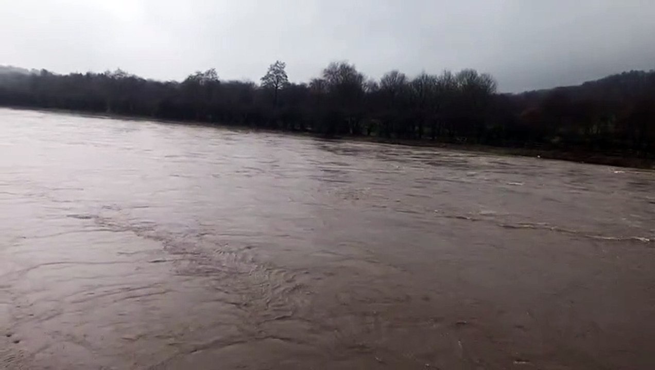 River Ribble Samlesbury