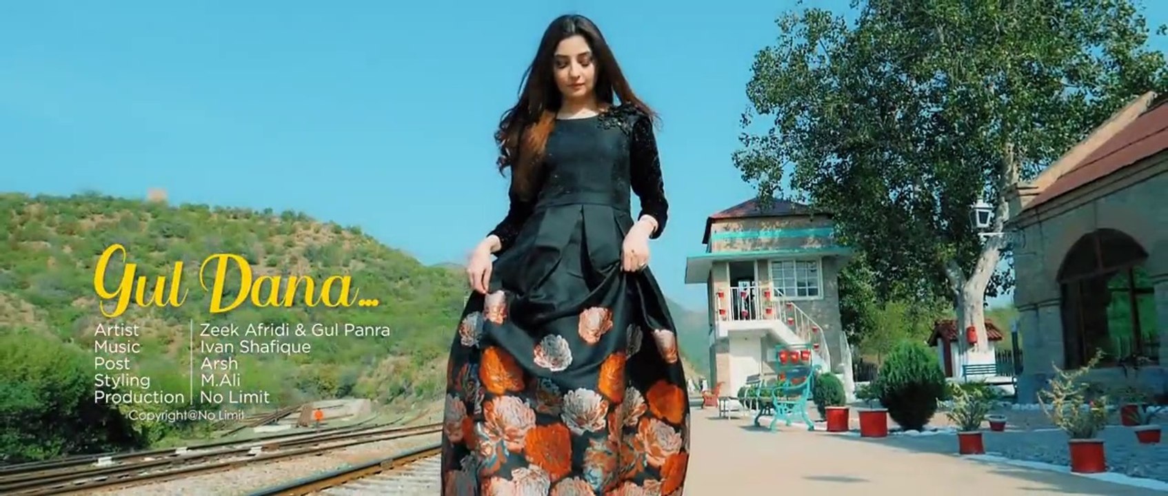 Zeek afridi & Gul Panra Pashto song 2021 - Ala Gul Dana Dana song 2021