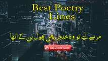 Jala diya shajar-e-jaan ki sabz-bakHt na tha | PARVEEN SHAKIR | Poetry Junction