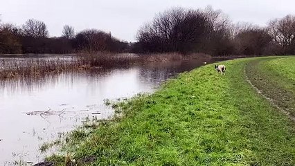 River Calder at Castleford - video by Luke Andrew of Willow Grove Farm