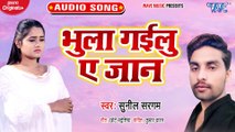 Bhula Gailu Ae Jan - Bhula Gailu Ae Jan - Sunil Sargam