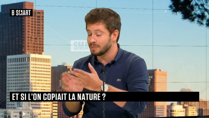 Biomimétisme