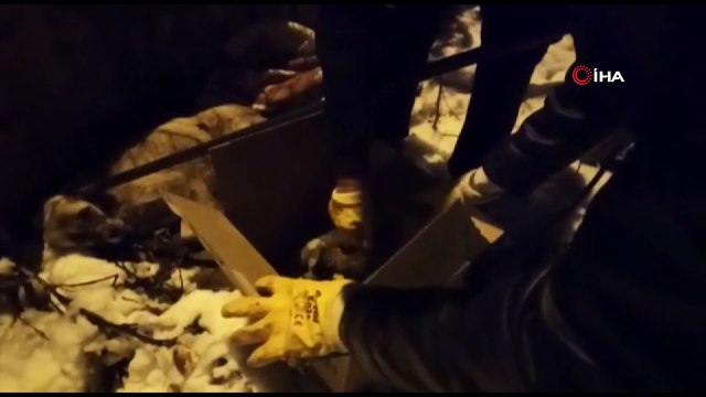 Donmak üzere olan köpek ve yavrularını Diyarbakır Büyükşehir Belediyesi ekipleri kurtardı