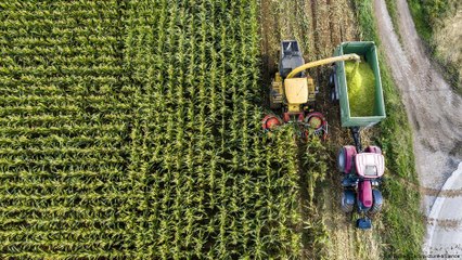 Futurando - Edição de 04/11/20