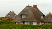 Entre tradição e modernidade: os telhados de junco do Mar do Norte
