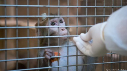 Futurando - Edição de 19/08/20