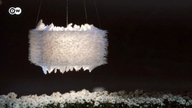 Designer polariza opiniões ao criar lâmpadas de penas