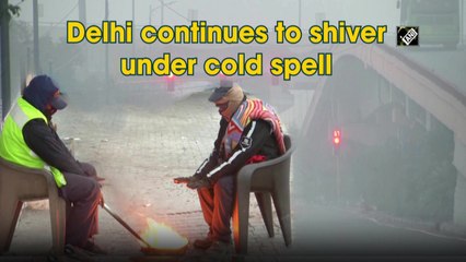 Delhi continues to shiver under cold spell