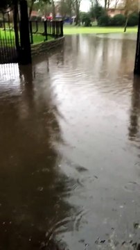 Flooding in park