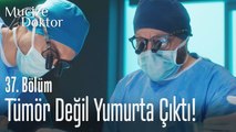 Beyninden tümör değil yumurta çıktı! - Mucize Doktor 37. Bölüm