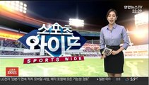 [프로축구] 울산, 클럽월드컵 첫 상대 멕시코 티그레스