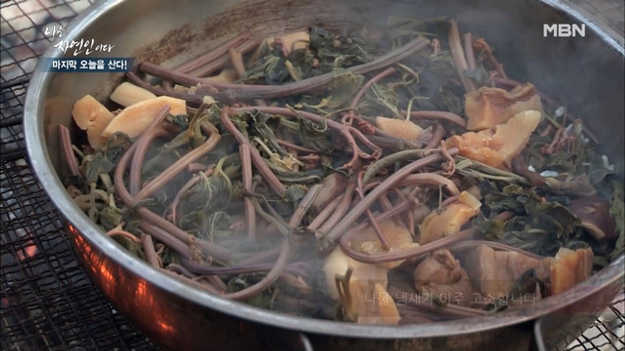 [자연밥상] 자연인표 영양 가득 고사리 비빔밥! 가장 행복한 밥상 완성!