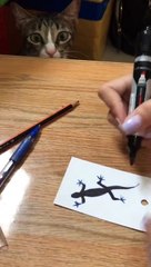 The cat baby was tricked by its owner without knowing it