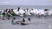 Beaucoup trop de surfeurs pour prendre la même vague
