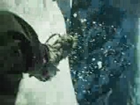 Luge dans les Alpes Suisses