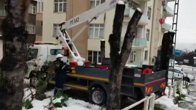 Tellerde asılı kalan martıyı itfaiye ekipleri kurtardı