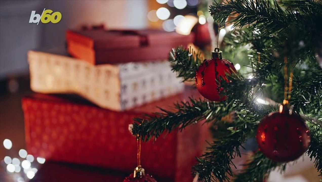 These Pups Are Trying Really Hard to Look Innocent After Making a Big Mess