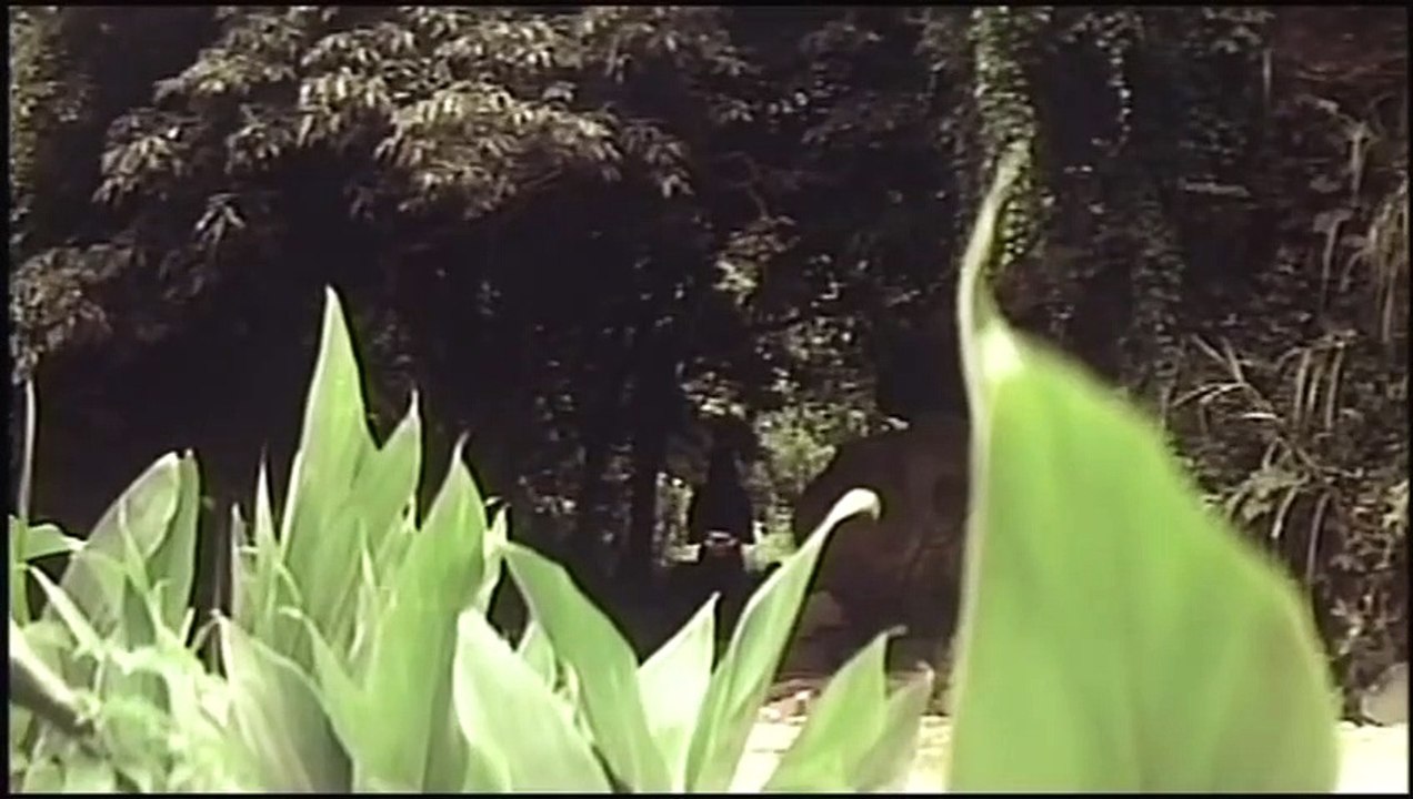 Wu Tang Collection - 18 Shaolin Riders (Mandarin with English Subtitles) part 2/2