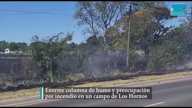 Enorme columna de humo y preocupación por incendio en un campo de Los Hornos