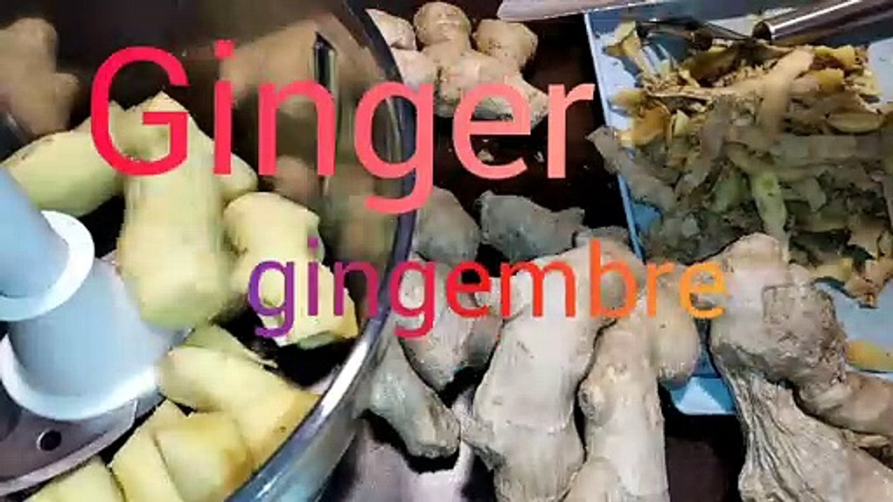Gingembre