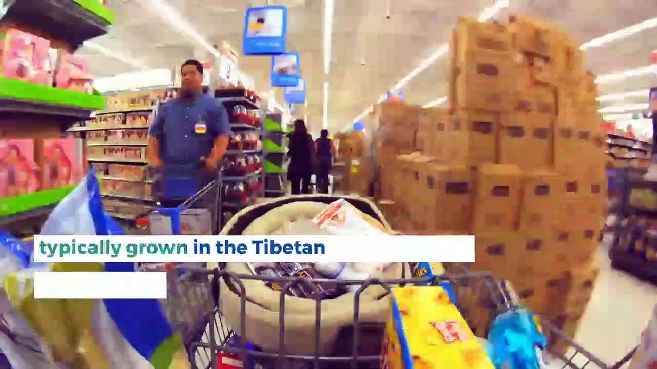 Goji Berries for Arthritis