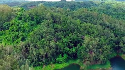 water flowing in the river