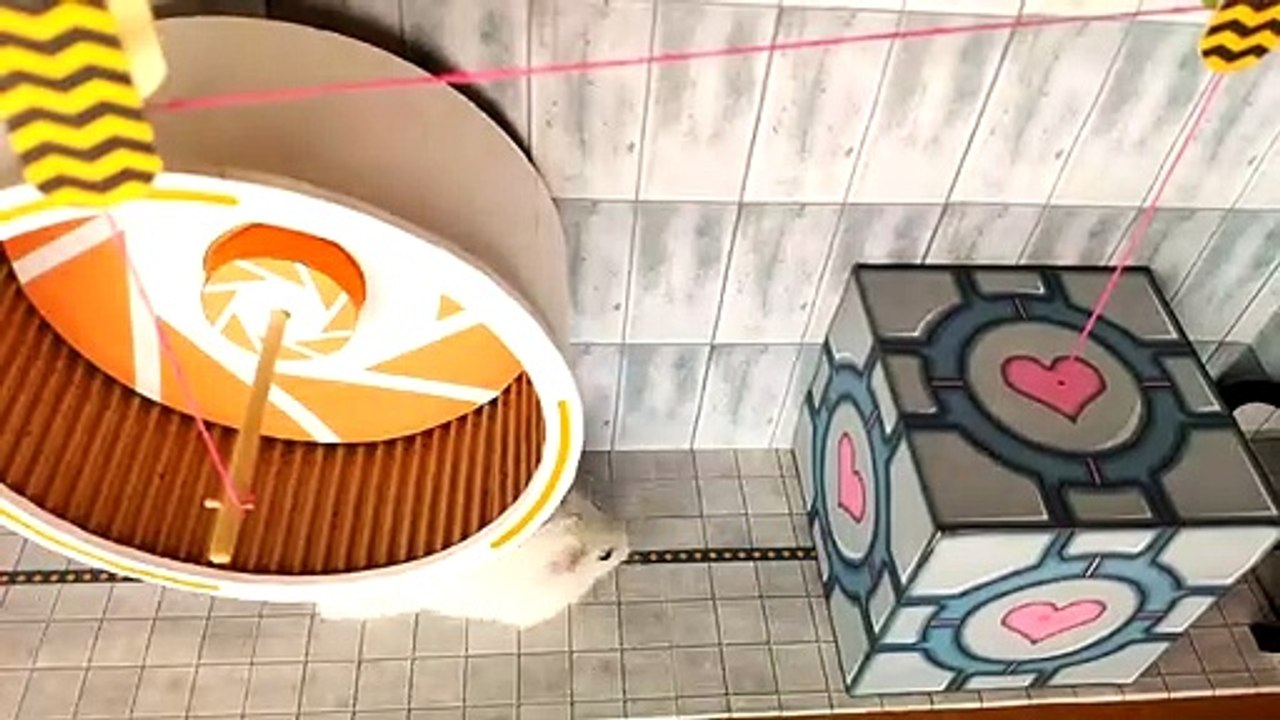 Hamster vs Labyrinthe Portal