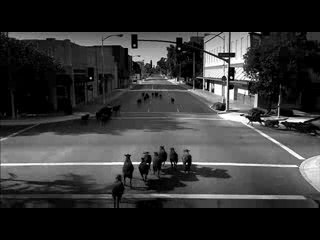 Black Sheep Harley Davidson