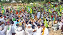 Farmers' Protest: Congress terms agency Centre's puppet
