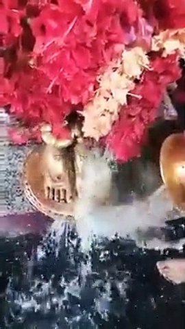 Maa kali
