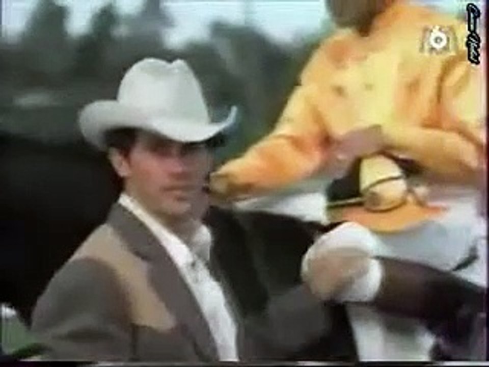 LE MAGICIEN - Le Cheval travesti