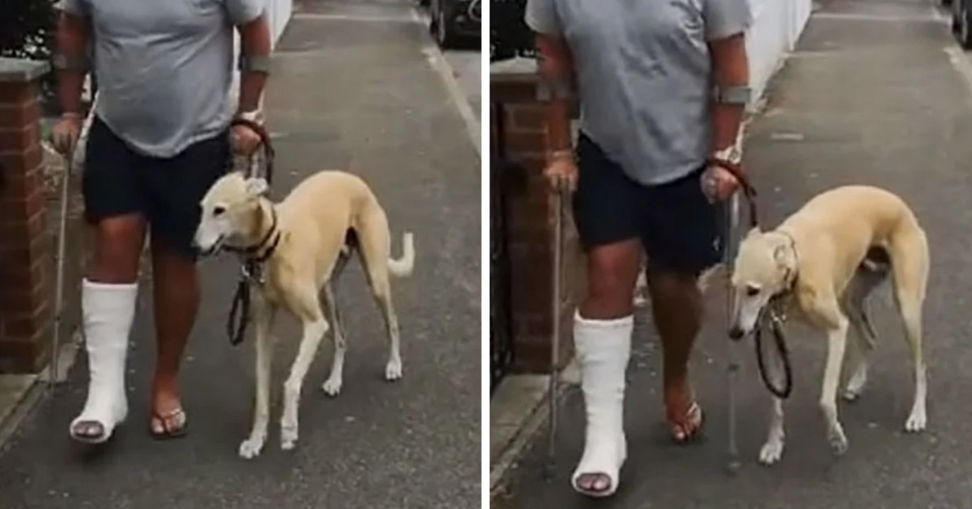 Il emmène son chien qui boite chez le vétérinaire, ce qu'il découvre est absolument incroyable