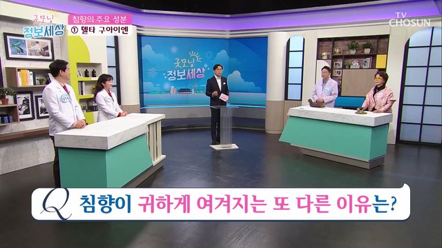 왕들의 자양강장제! 뇌혈관 건강 돕는 ⋄침향⋄ TV CHOSUN 210121 방송