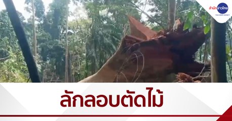 จนท.ป่าไม้ตรวจสอบลักลอบตัดไม้เขาเมาะแต จ.นราธิวาส