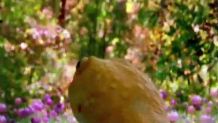 SEGUNDO CAPÍTULO DA NOVELA GENESIS - CAPÍTULO 02  - PARTE 01 HD