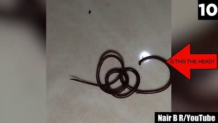 19 Videos So Scary I CAN'T Stop Thinking About Them