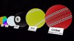 Balls Size Comparison 3d|Sports ball comparison 3d 2021|All ball size comparison in the world |sports arena size comparison