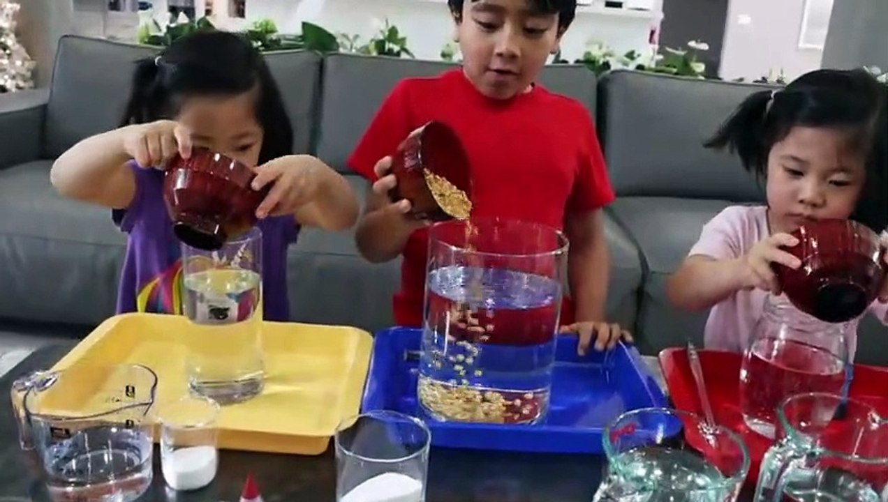 Dancing Corn Easy DIY Science Experiments for kids to do at home!!