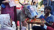 वेब सीरीज तांडव के चलते जयपुर में गधों की लगी लाटरी, जमकर खाए गुलाब जामुन