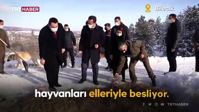 Yem bulmakta zorlanan hayvanlar için doğadalar