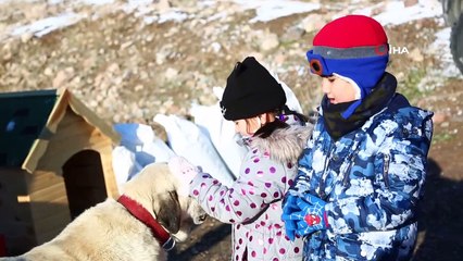 MHP’den sokak hayvanları için kampanya