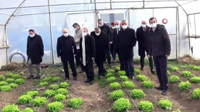 Vali Dağlı, Bafra’da incelemelerde bulundu