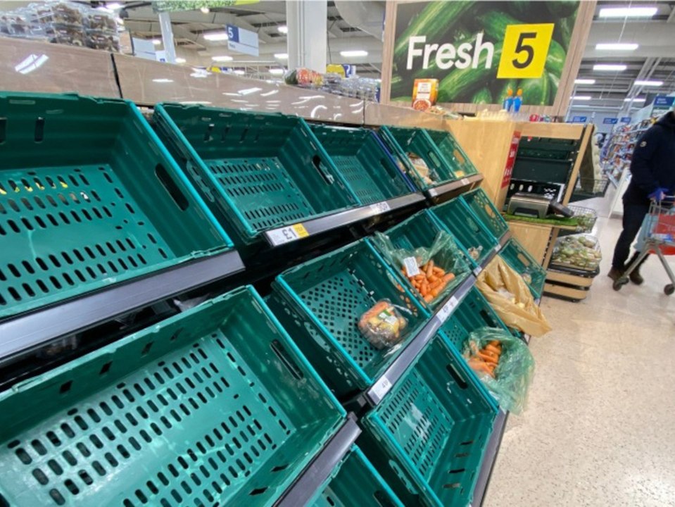 Folgen des Brexits: Leere Supermarktregale in Nordirland