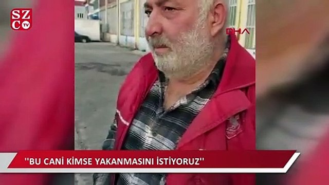 Samsun'da bir köpek bacağı kesilmiş olarak bulundu