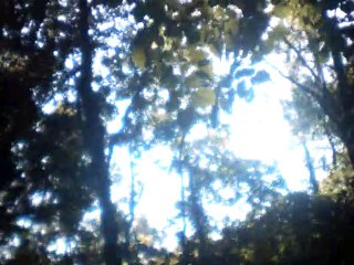 Doo Me Ama G on Hohner Chromatic Echo Harp 🎶